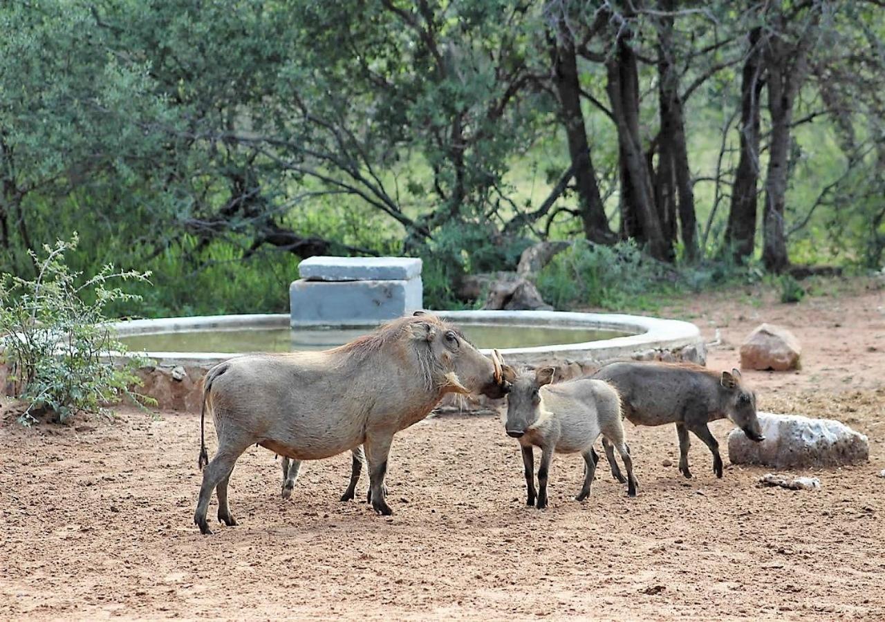 Twiga Lodge Mabalingwe Bela-Bela Eksteriør bilde