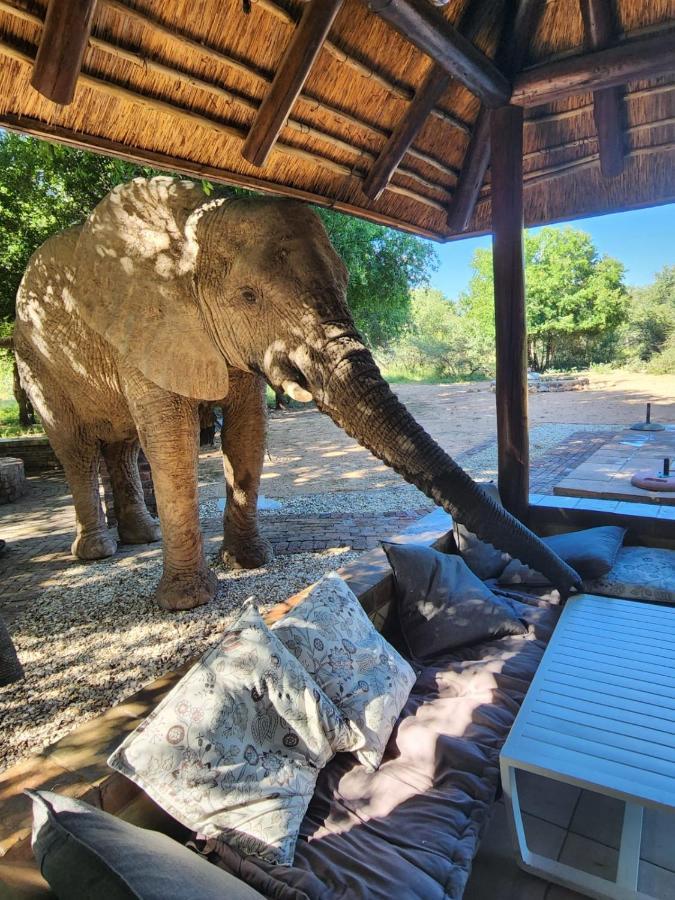 Twiga Lodge Mabalingwe Bela-Bela Eksteriør bilde