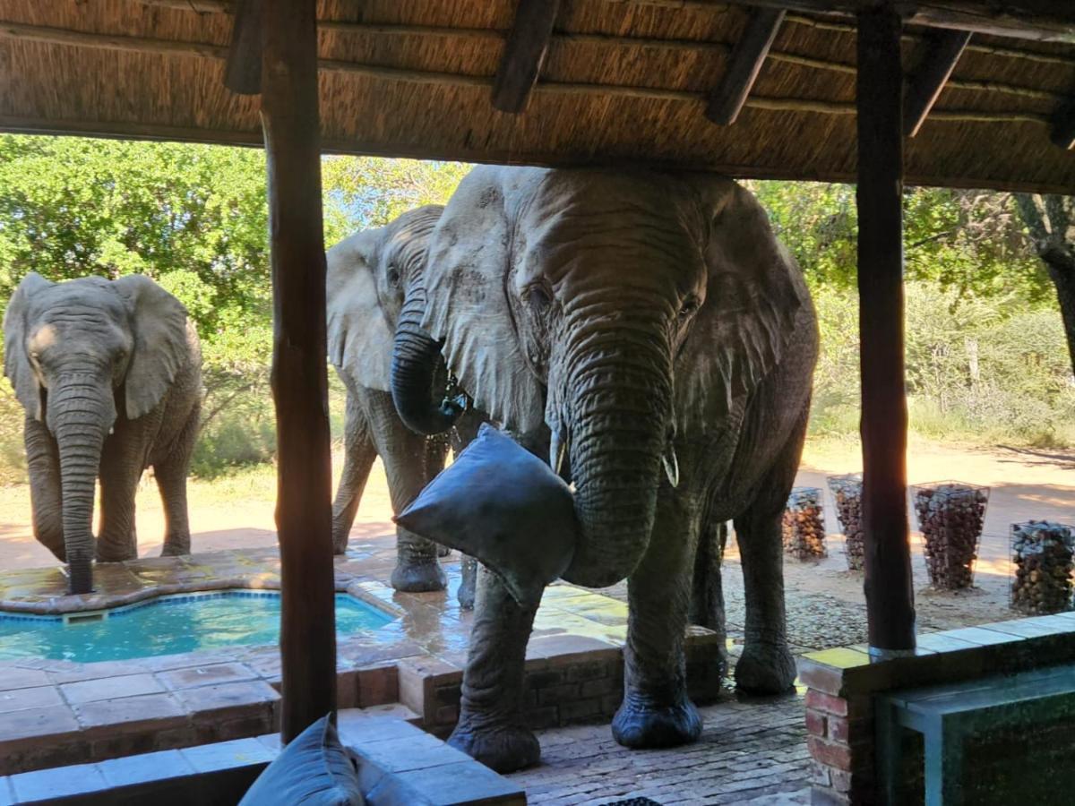 Twiga Lodge Mabalingwe Bela-Bela Eksteriør bilde