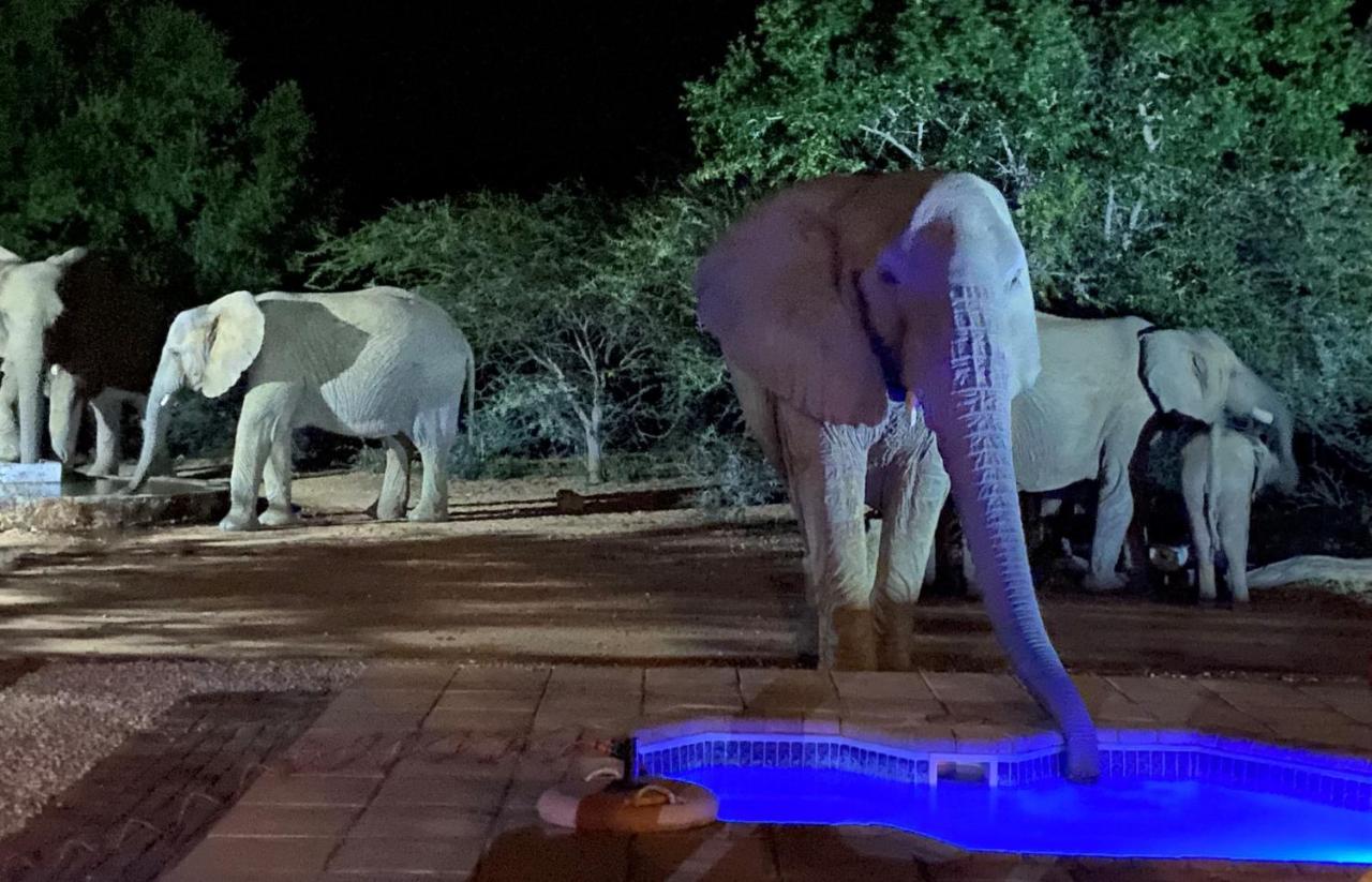 Twiga Lodge Mabalingwe Bela-Bela Eksteriør bilde